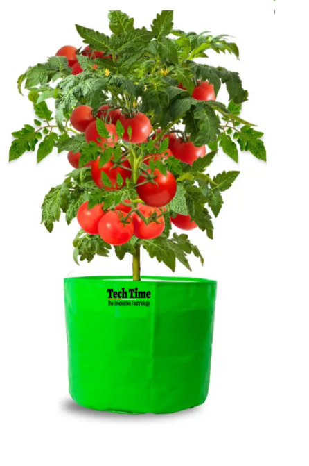 Aditi Enterprises manufacturing facility for agricultural products in Rohtak